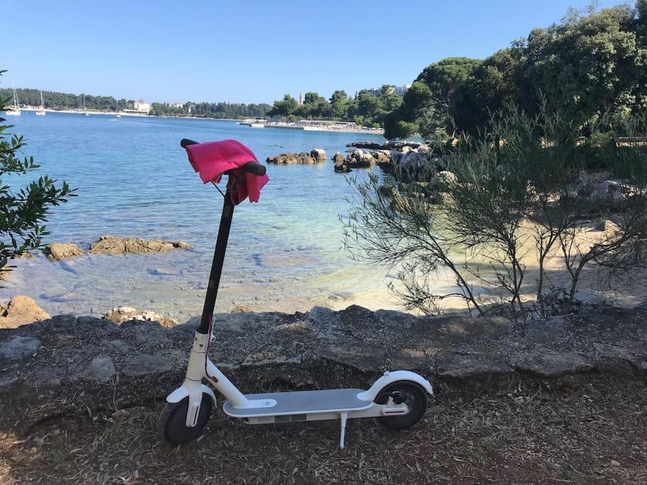 Apartment Capo D'Oro Rovinj Exterior photo